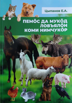 Kv Цыпанов 2025.jpg